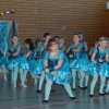 Showdance Mehring