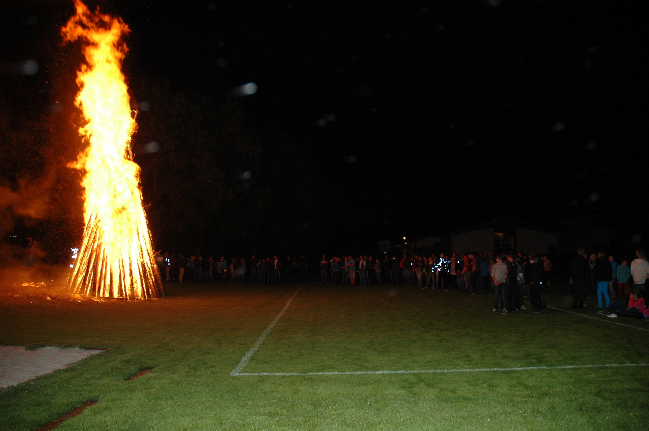 feuer2011